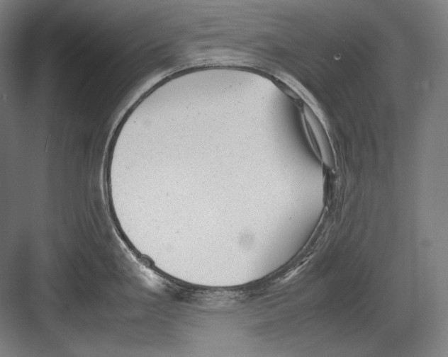 X0000081571293200702121412