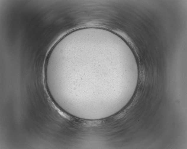 X0000081571294200702121412