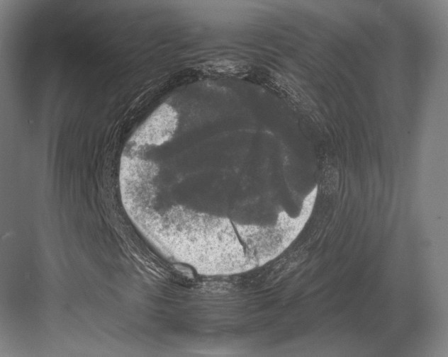 X0000081571297200702121411