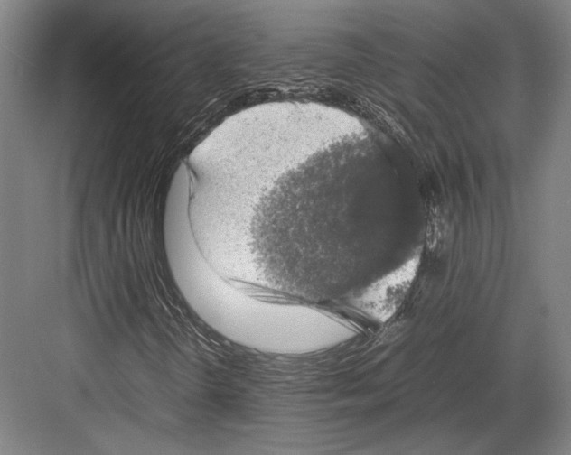 X0000081571298200702121411