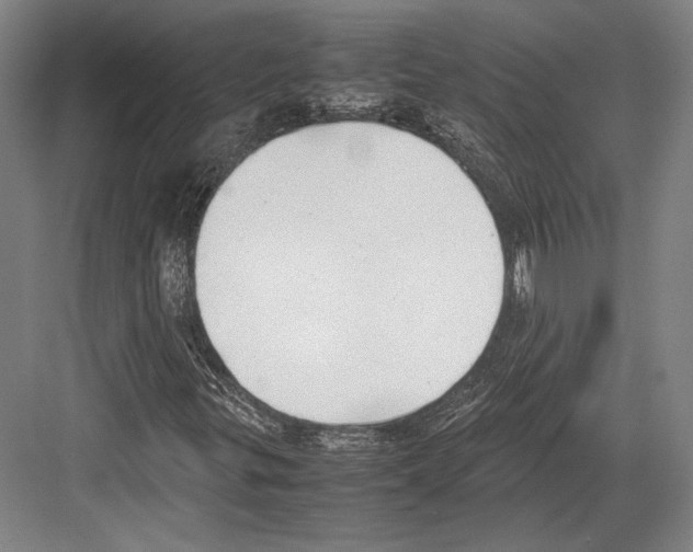 X0000081571299200702121411