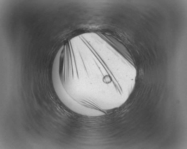 X0000081571300200702121411