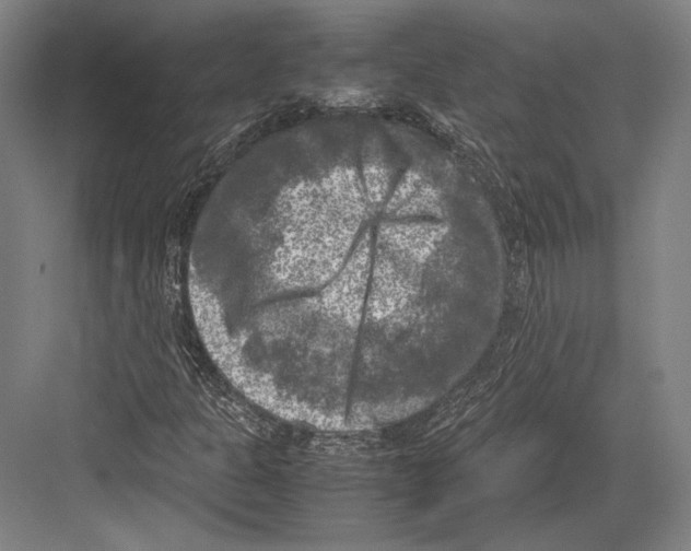 X0000081571301200702121411