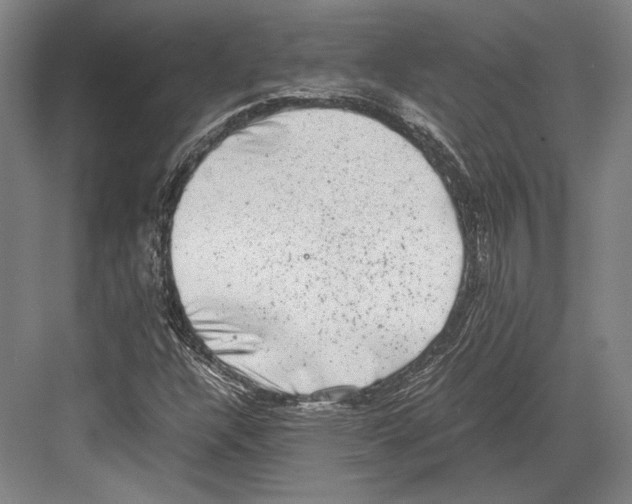 X0000081571304200702121411