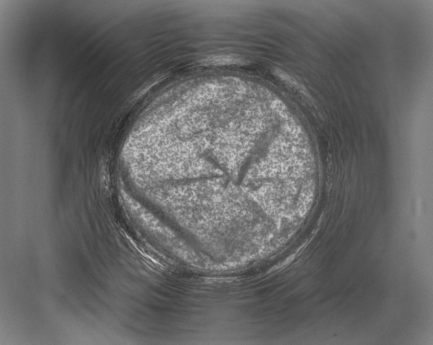 X0000081571305200702121411