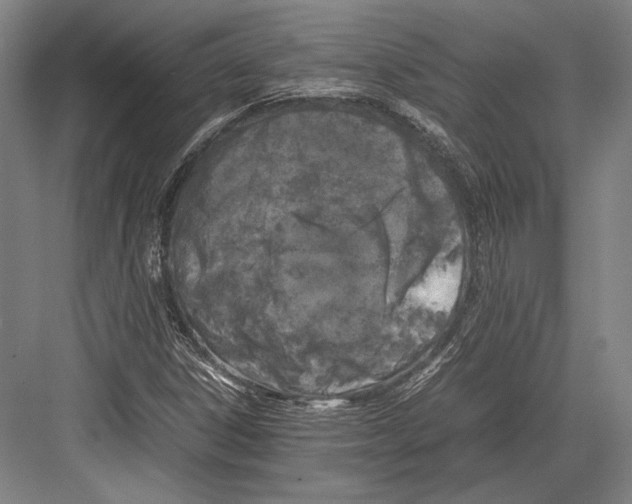 X0000081571306200702121411