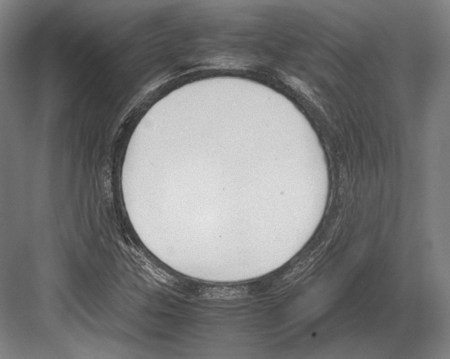 X0000081571307200702121411