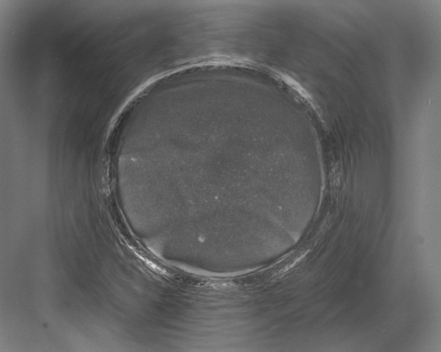 X0000081571310200702121411