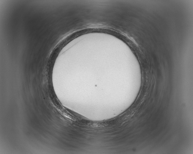 X0000081571311200702121411