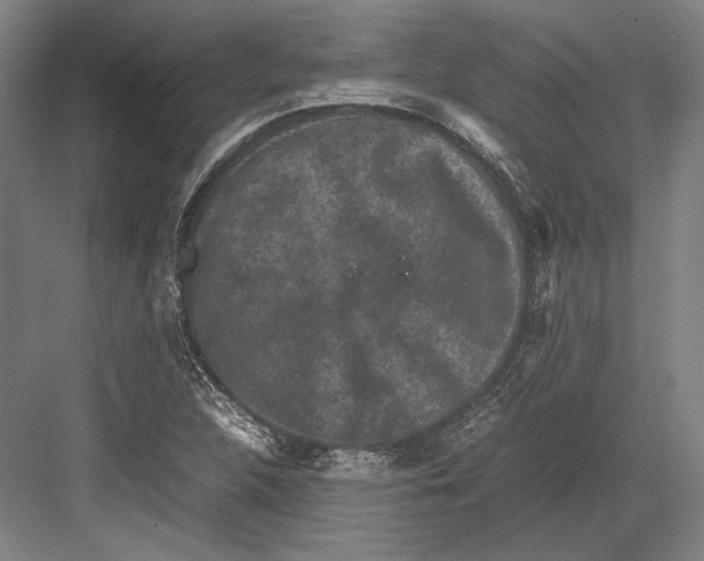 X0000081571312200702121411