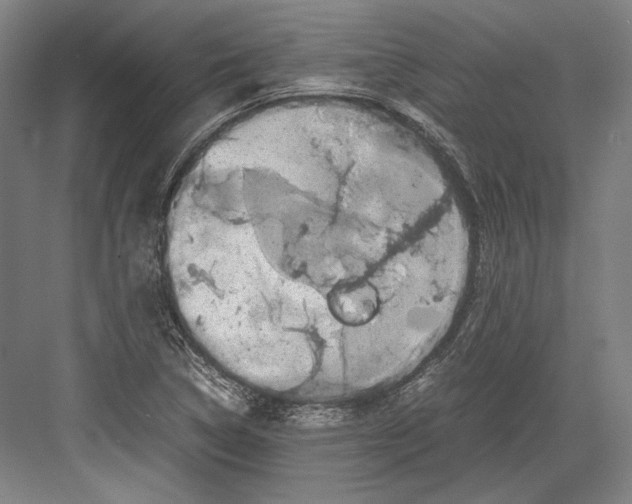 X0000081571314200702121411