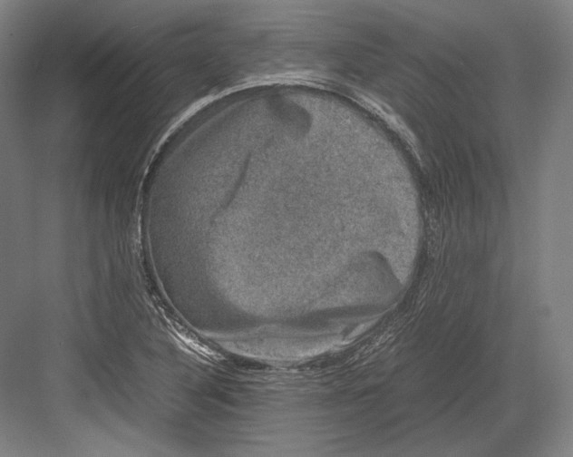 X0000081571316200702121411