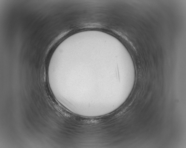 X0000081571317200702121411