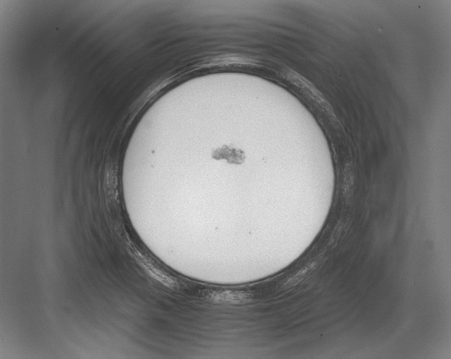 X0000081571321200702121411