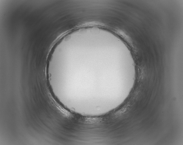 X0000081571322200702121411