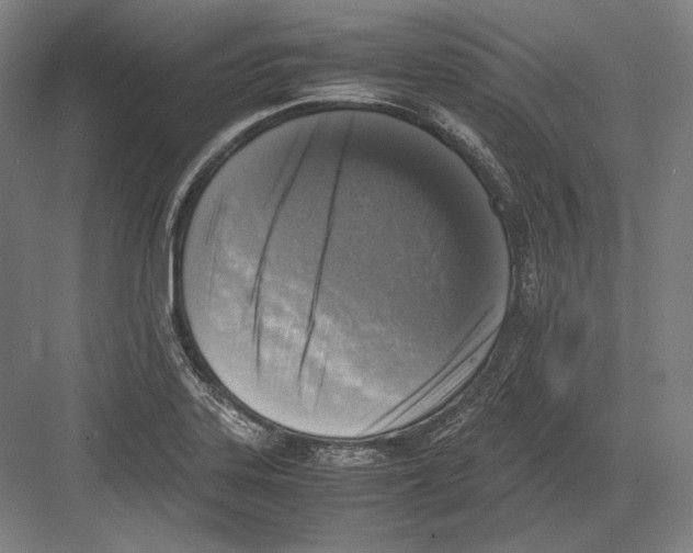 X0000081571323200702121411