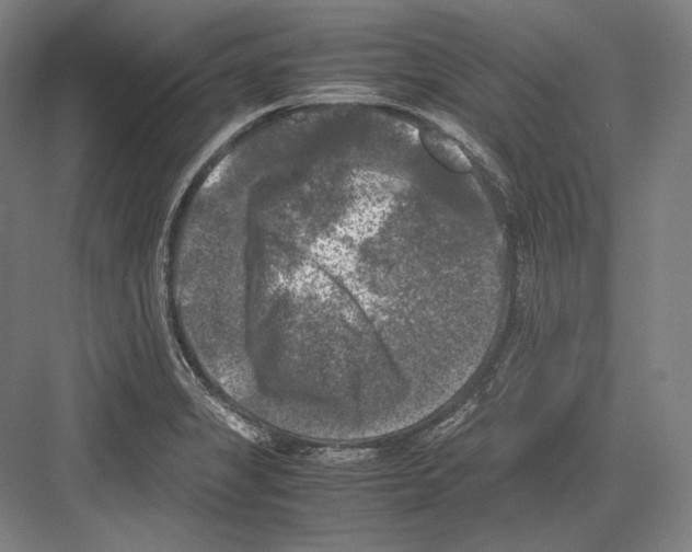 X0000081571325200702121411