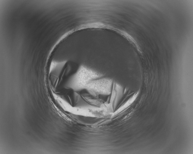 X0000081571326200702121412