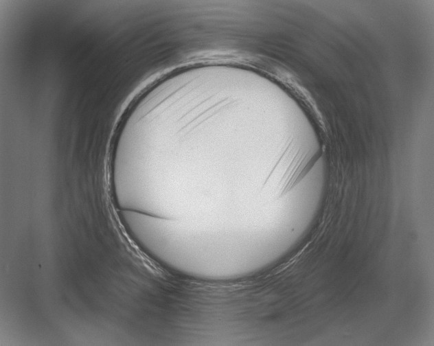 X0000081571328200702121412