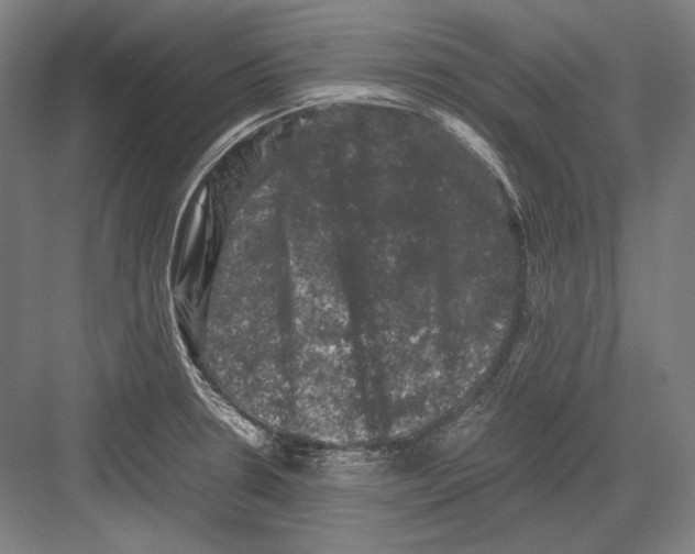 X0000081571330200702121412