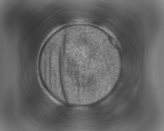 X0000081571333200702121412