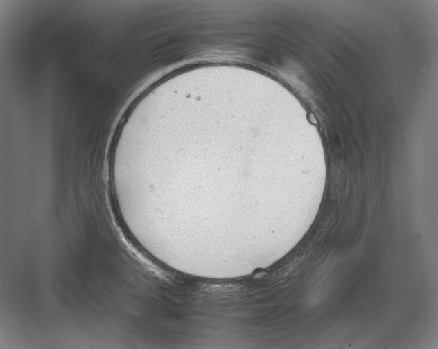 X0000081571335200702121412