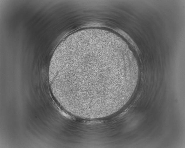 X0000081571337200702121412