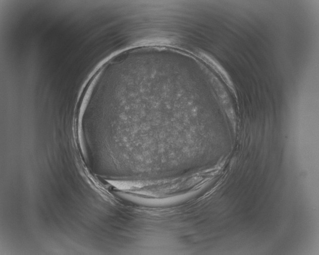 X0000081571340200702121412