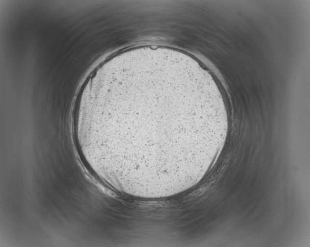 X0000081571341200702121412