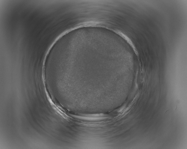 X0000081571342200702121412