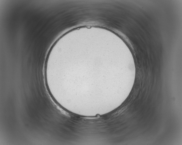 X0000081571343200702121412