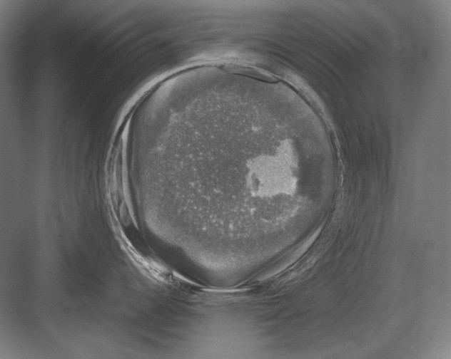 X0000081571344200702121412