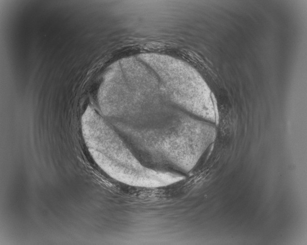 X0000081571345200702121411