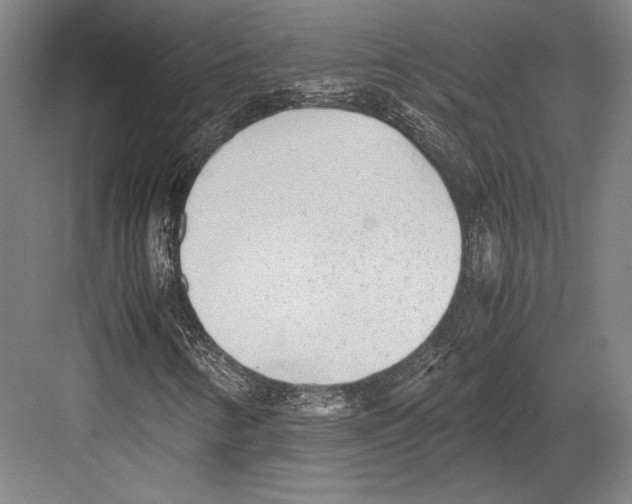 X0000081571346200702121411