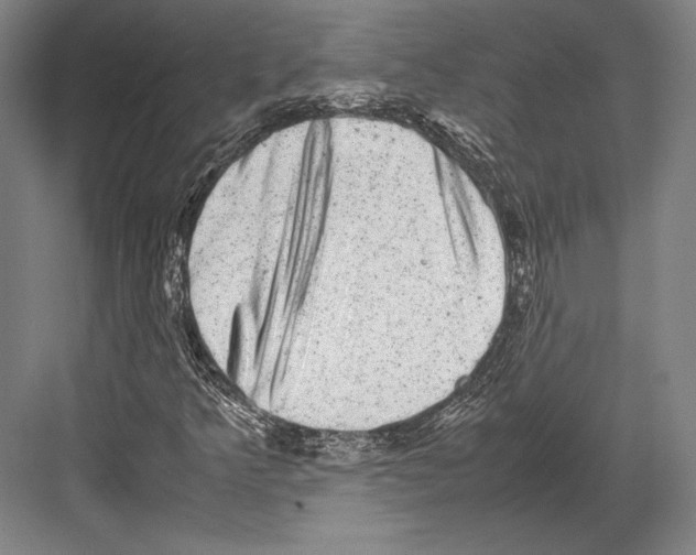 X0000081571349200702121411