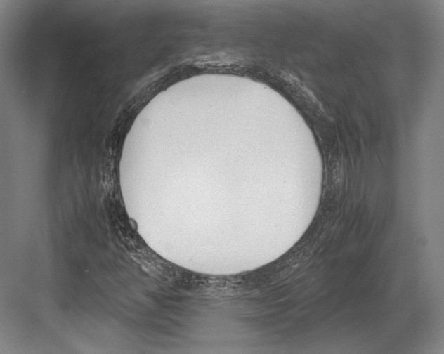 X0000081571350200702121411