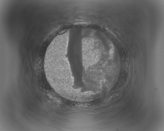 X0000081571351200702121411