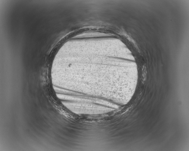 X0000081571352200702121411