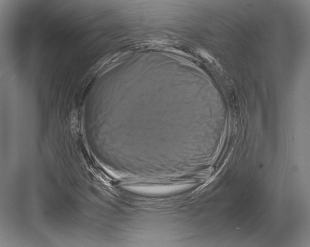 X0000081571353200702121411