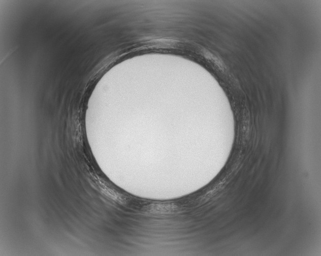 X0000081571354200702121411