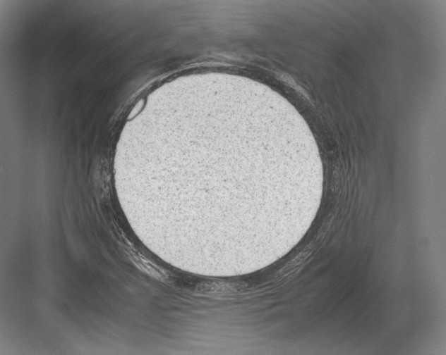 X0000081571355200702121411