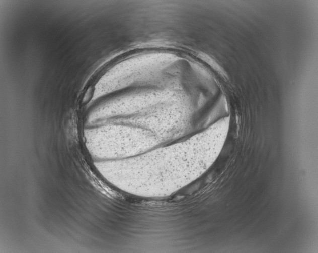 X0000081571356200702121411