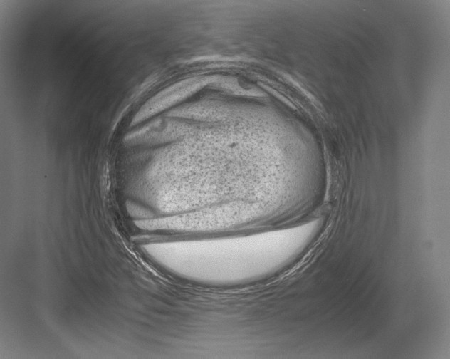 X0000081571357200702121411