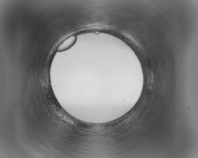 X0000081571358200702121411