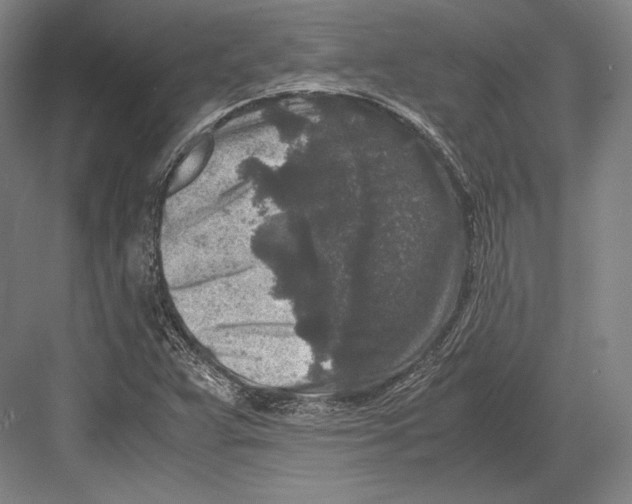 X0000081571359200702121411