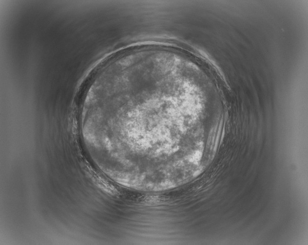 X0000081571360200702121411