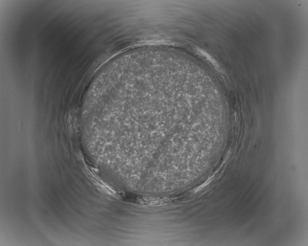 X0000081571361200702121411