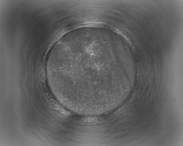 X0000081571362200702121411