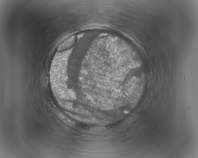 X0000081571363200702121411