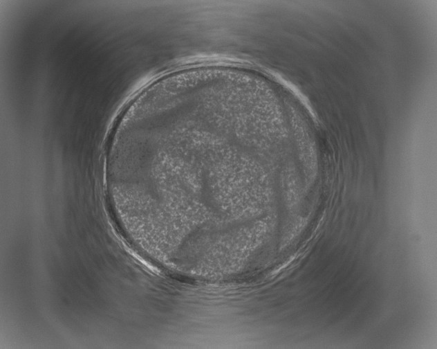 X0000081571365200702121411